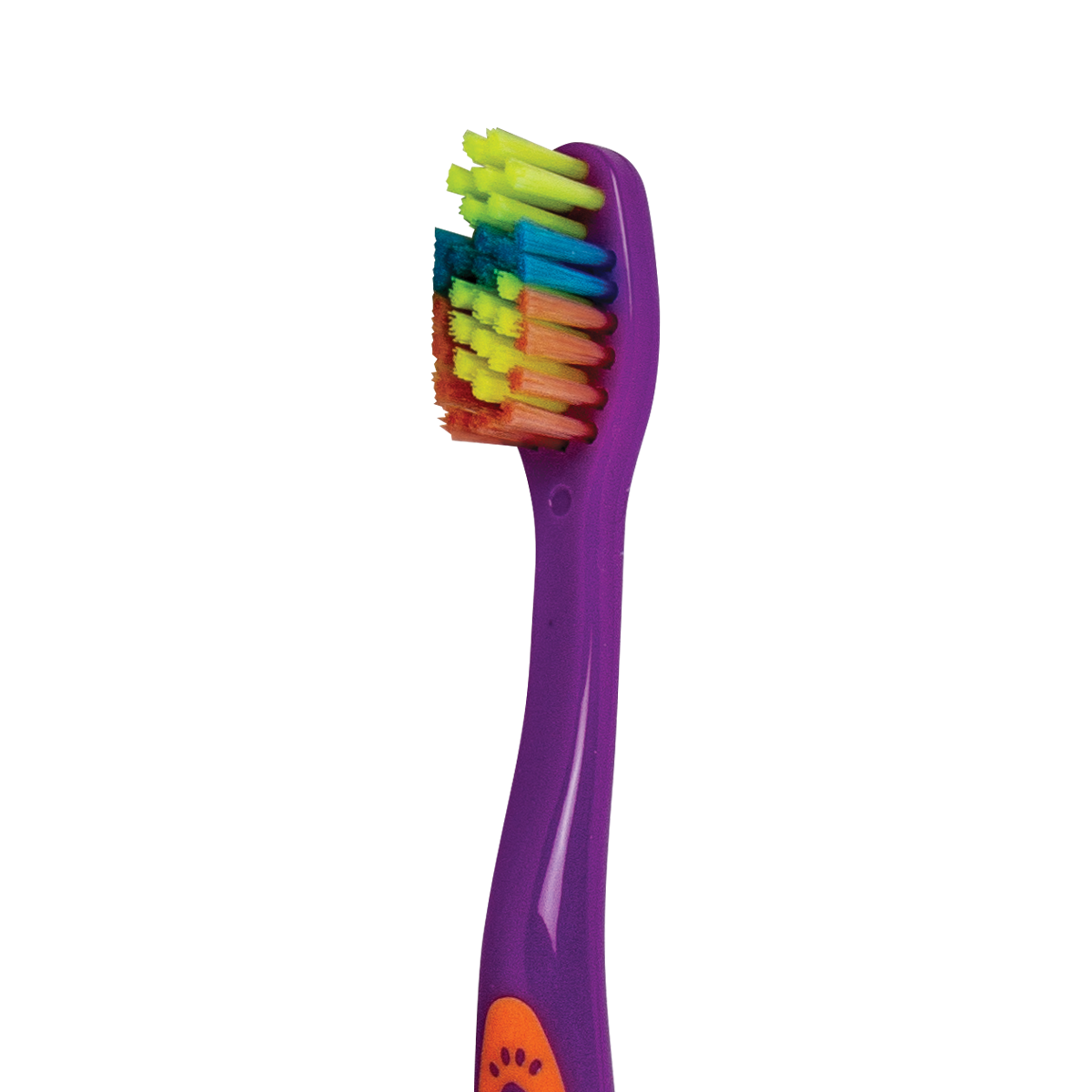 Close Up View of Toothbrush Head